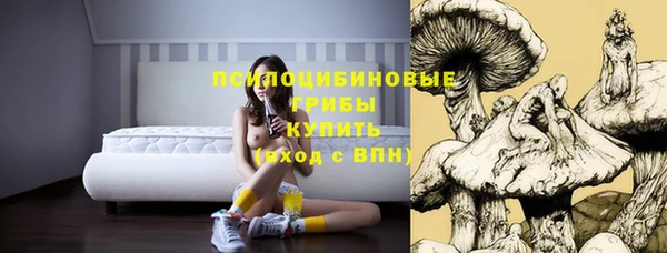 герыч Инта