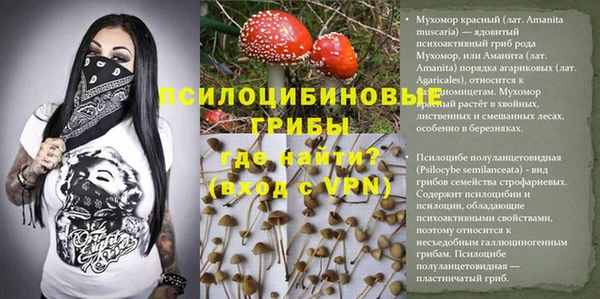 крисы Инсар