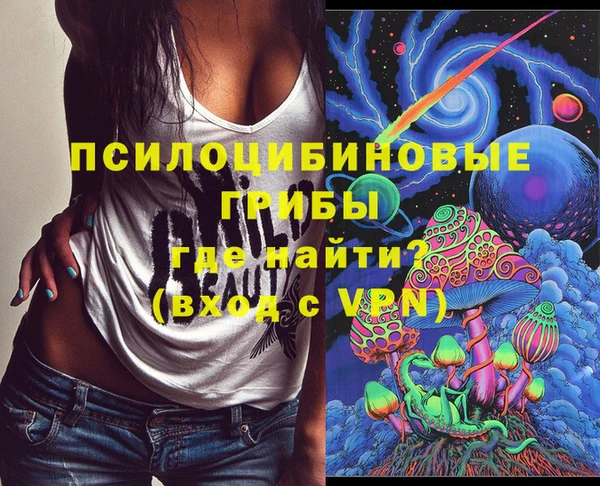 крисы Инсар