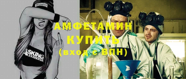 крисы Инсар