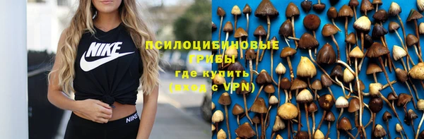 крисы Инсар