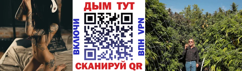 Купить закладки  Зеленоградск  Каннабис AK-47 